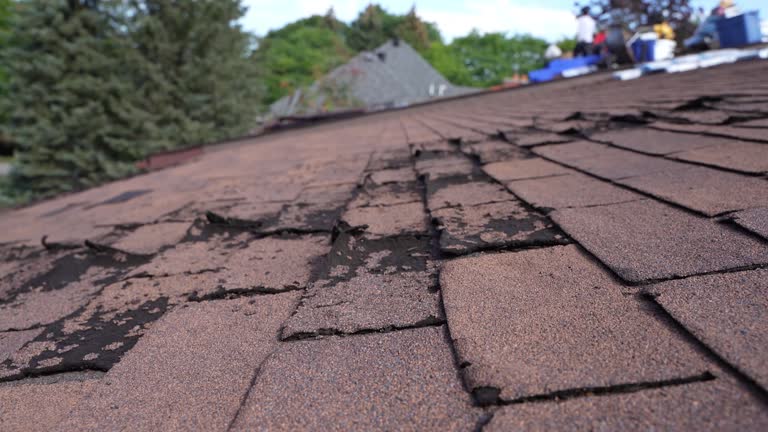 Best Roof Installation  in Marion, PA